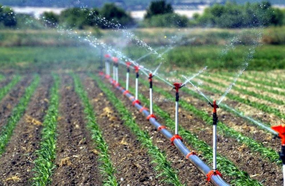 Coordination Office Announces Details Of Irrigation Efficiency Training